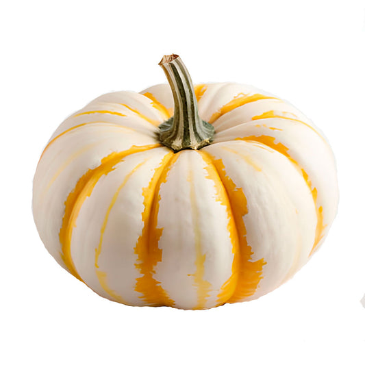 Semillas de calabaza zapallo Baby Tiger striped, 20 unidades de variedad exótica y orgánica.