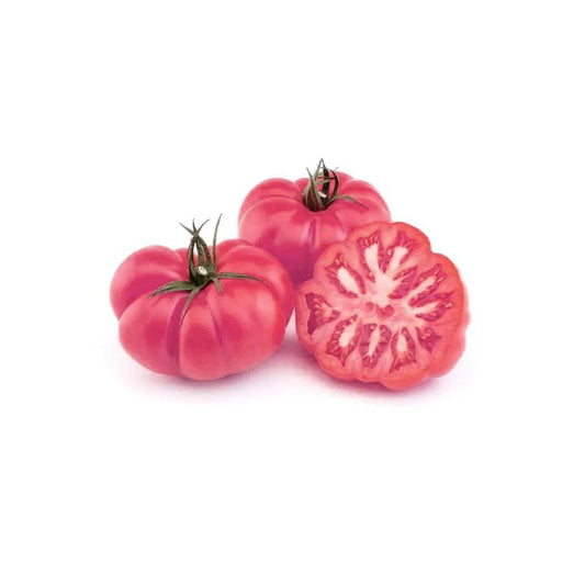 Semillas de tomate Brandywine Rosa exótico, presentadas sobre un fondo blanco. Estas semillas producen tomates grandes y jugosos, conocidos por su color rosa distintivo y su sabor excepcional.
